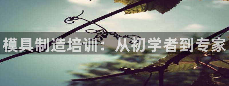 太阳集团城网2018：模具制造培训：从初学者到专家
