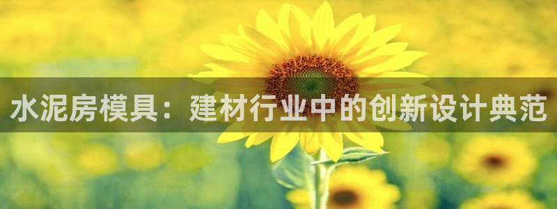 太阳集团电子游戏(中国)有限公司官网：水泥房模具：建材行业中的创新设计典范