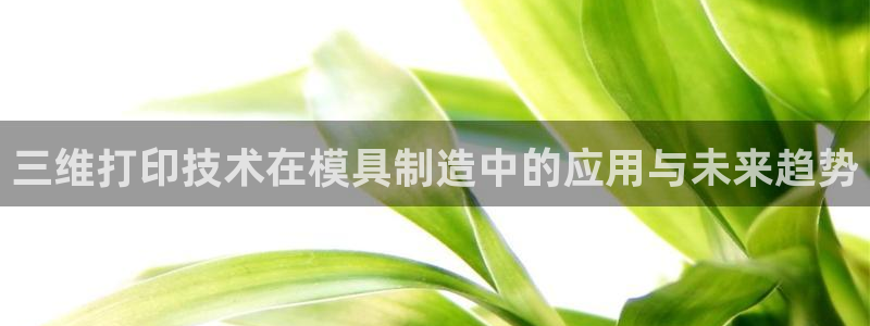 太阳集团78566备用网址：三维打印技术在模具制造中的应用与未来趋势