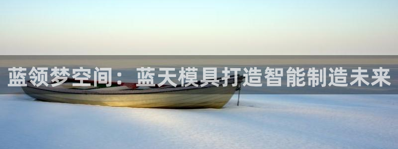 太阳成集团洗米华：蓝领梦空间：蓝天模具打造智能制造未来