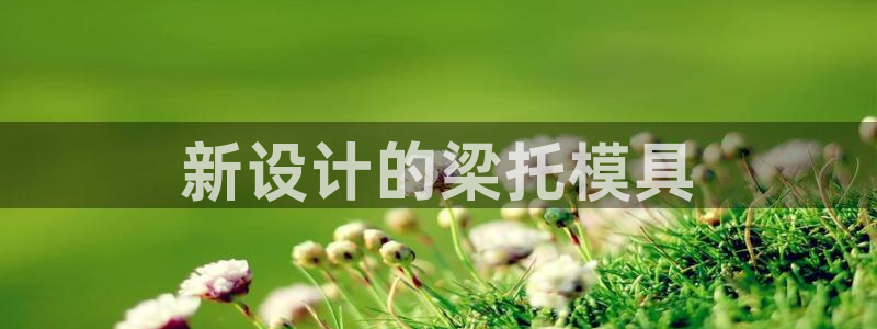太阳1城集团网址：新设计的梁托模具