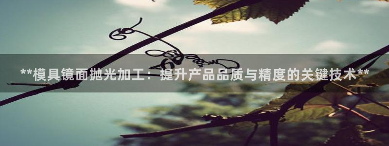 太阳集团官网：**模具镜面抛光加工：提升产品品质与精度的关键技术**