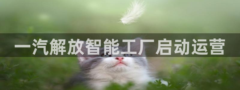 太阳集团主要是做什么的：一汽解放智能工厂启动运营