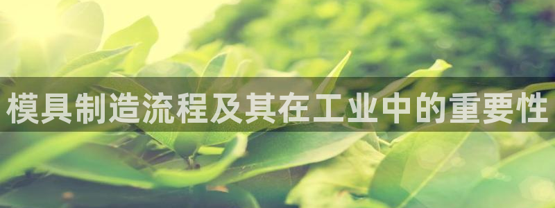 太阳集团下载链接怎么下载：模具制造流程及其在工业中的重要性