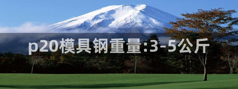 太阳集团游戏城新版138：p20模具钢重量:3-5公斤