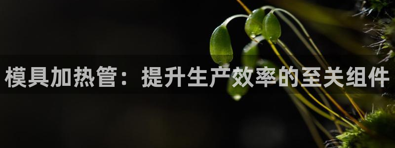 太阳gg是真的吗：模具加热管：提升生产效率的至关组件