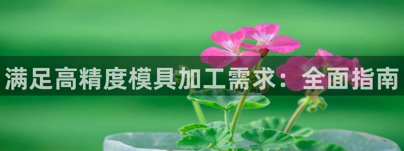 太阳1城集团网址是多少：满足高精度模具加工需求：全面指南