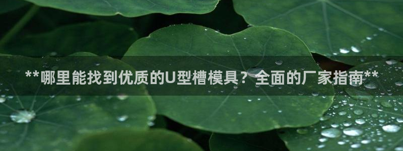 太阳成集团tyc234cc投资控股集团：**哪里能找到优质的U型槽模具？全面的厂家指南**