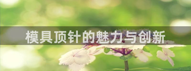 太阳集团所有网址16877官网：模具顶针的魅力与创新