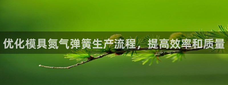 太阳集团下载链接app：优化模具氮气弹簧生产流程，提高效率和质量