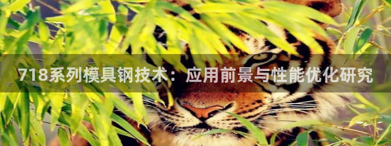 太阳集团城网站2017：718系列模具钢技术：应用前景与性能优化研究