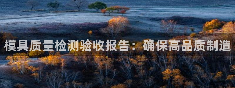 太阳集团城安卓版游戏：模具质量检测验收报告：确保高品质制造
