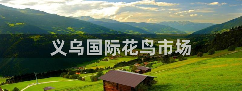 太阳 官网：义乌国际花鸟市场
