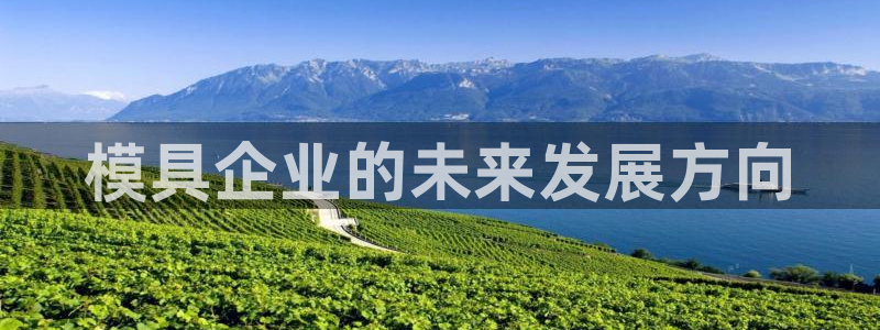 太阳2平台app下载：模具企业的未来发展方向