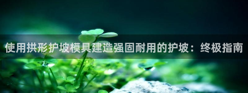 太阳成集团tyc1050：使用拱形护坡模具建造强固耐用的护坡：终极指南