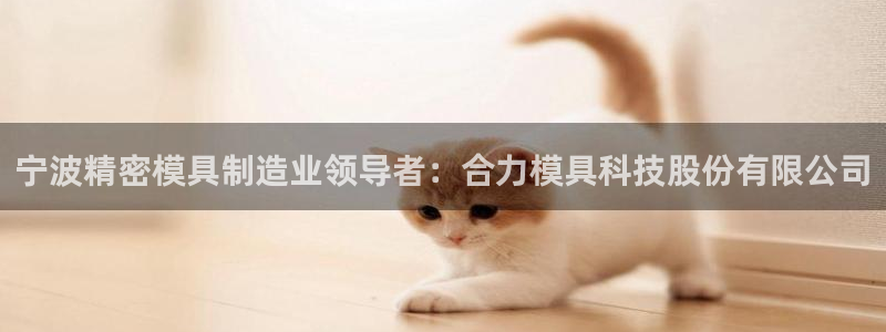 太阳集团电视剧：宁波精密模具制造业领导者：合力模具科技股份有限公司