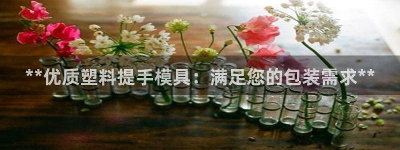 太阳集团tcy8722电子游戏：**优质塑料提手模具：满足您的包装需求**