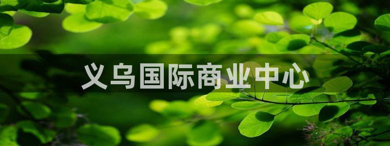 太阳集团app十佳平台是什么：义乌国际商业中心
