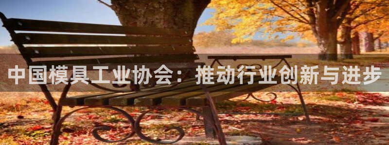 太阳c集团