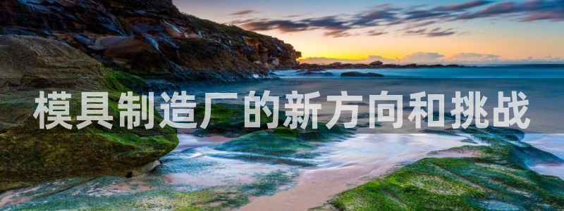 太阳集团游戏城(138)官方网址：模具制造厂的新方向和挑战