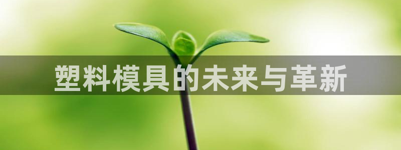 太阳集团所有网址16877官网：塑料模具的未来与革新