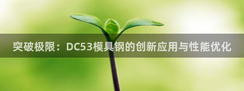 太阳集团贵宾网站：突破极限：DC53模具钢的创新应用与性能优化