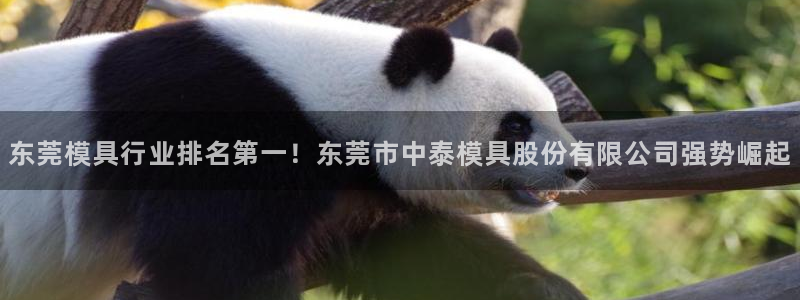 太阳影业投资：东莞模具行业排名第一！东莞市中泰模具股份有限公司强势崛起
