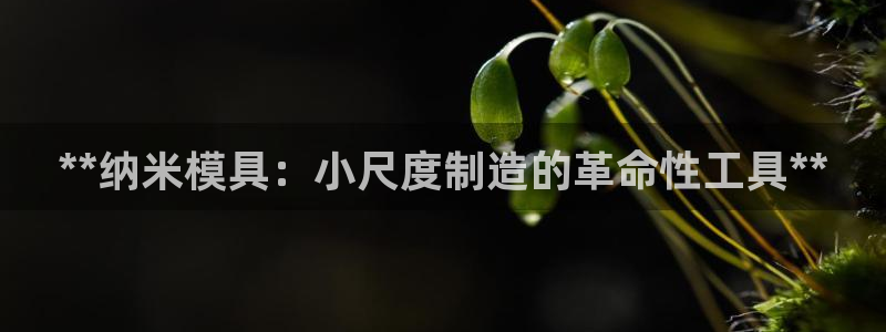 太阳集团唯一值得信赖网站是什么：**纳米模具：小尺度制造的革命性工具**