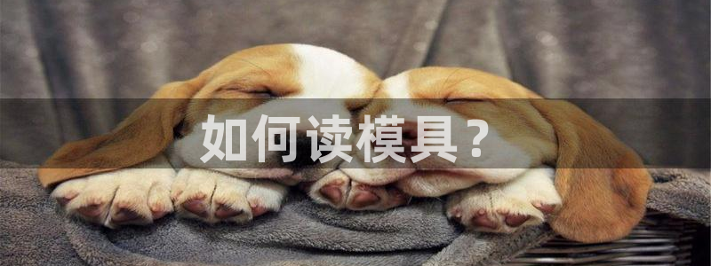 太阳集团电子游戏官方网站：如何读模具？
