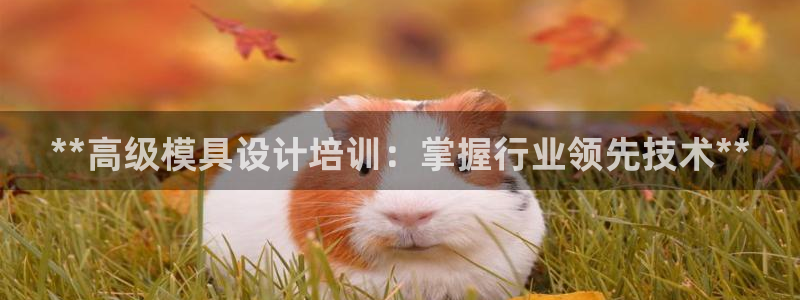 太阳成集团tyc33455cc平台：**高级模具设计培训：掌握行业领先技术**