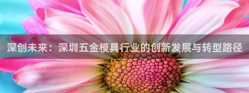 太阳集团官网8722：深创未来：深圳五金模具行业的创新发展与转型路径