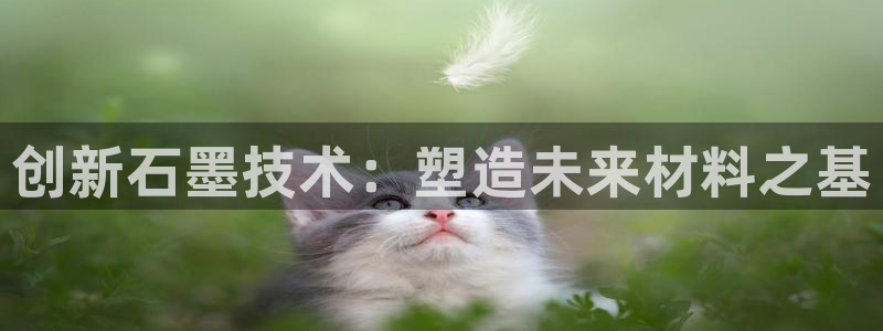 太阳成集团tyc234cc[主页]网址：创新石墨技术：塑造未来材料之基