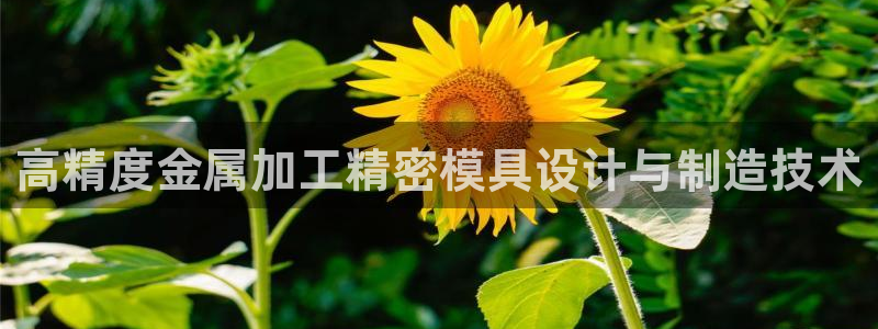 太阳诚集团APP：高精度金属加工精密模具设计与制造技术