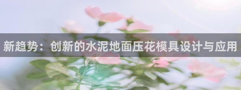 曲靖红太阳集团：新趋势：创新的水泥地面压花模具设计与应用