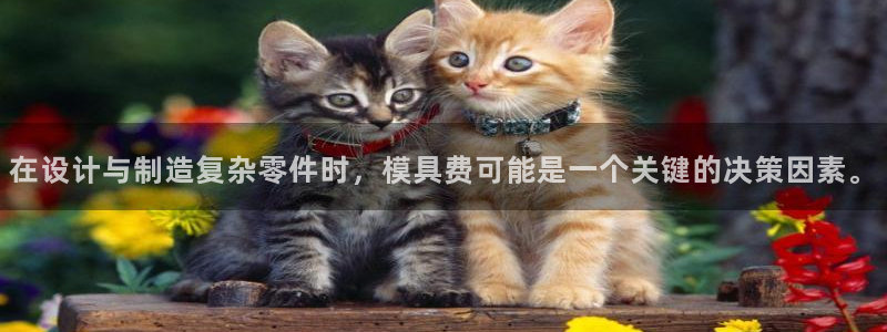 古天乐代言澳门太阳游戏网址：在设计与制造复杂零件时，模具费可能是一个关键的决策因素。
