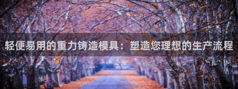 太阳阳城集团有限公司：轻便易用的重力铸造模具：塑造您理想的生产流程