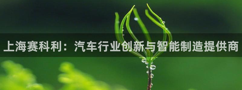 太阳集团董事长是谁：上海赛科利：汽车行业创新与智能制造提供商