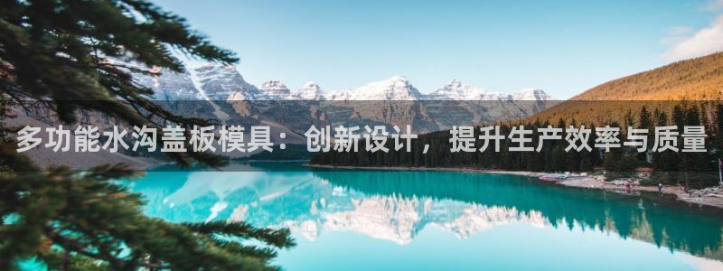 太阳集团游戏城旧版5376：多功能水沟盖板模具：创新设计，提升生产效率与质量