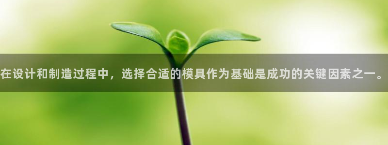 太阳控股集团：在设计和制造过程中，选择合适的模具作为基础是成功的关键因素之一。