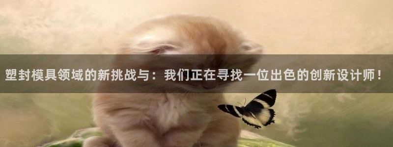 太阳集团电子游戏(中国)有限公司：塑封模具领域的新挑战与：我们正在寻找一位出色的创新设计师！