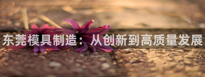 太阳成集团mmm671：东莞模具制造：从创新到高质量发展