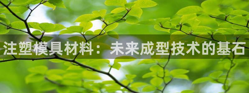 太阳成集团老板是谁：注塑模具材料：未来成型技术的基石