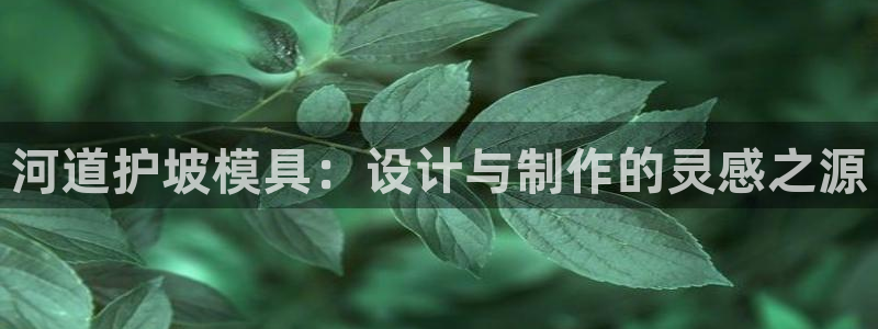 太阳集团娱乐网8722手机登录：河道护坡模具：设计与制作的灵感之源