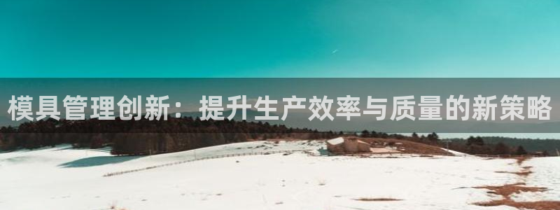 太阳集团洗米华菲律宾：模具管理创新：提升生产效率与质量的新策略