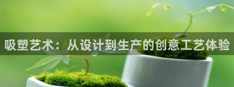 太阳成集团是干嘛的：吸塑艺术：从设计到生产的创意工艺体验