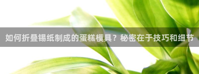 太阳股份有限公司