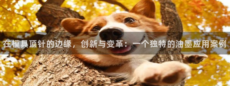 太阳集团2021备用网址：在模具顶针的边缘，创新与变革：一个