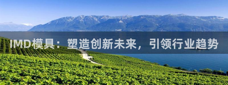 太阳2注册官网下载：IMD模具：塑造创新未来，引领行业趋势