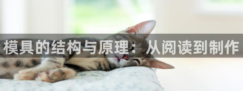 太阳控股集团有限公司董事长：模具的结构与原理：从阅读到制作