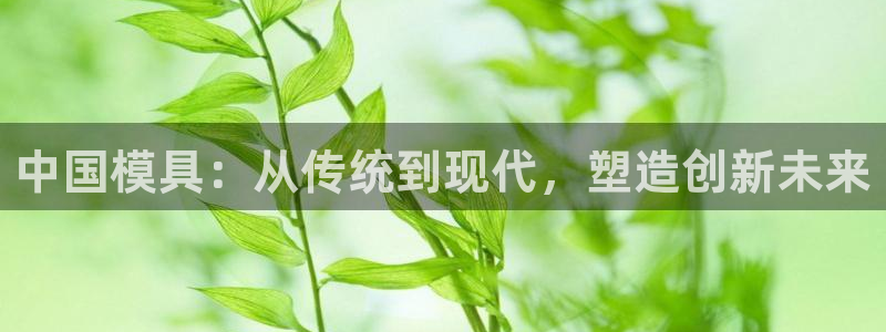 太阳集团城官方app下载：中国模具：从传统到现代，塑造创新未来